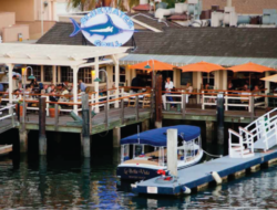 Bluewater Grill Newport Beach - Duffy Boats